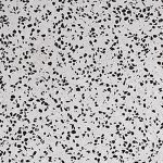 Terrazzo Yer Döşemesi 38