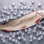 Turna balığı fiyatı 2023