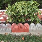 Kubbeli Çim Bordürü Fiyatları