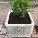 Aktaş Kare Beton Saksı (50x50x40 cm) – Doğal Gri Renk