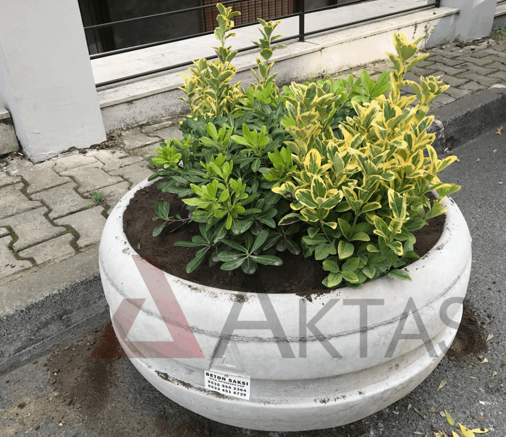 Aktaş Yuvarlak Beton Saksı (80x80x40 cm) – Doğal Gri Renk ürün banner