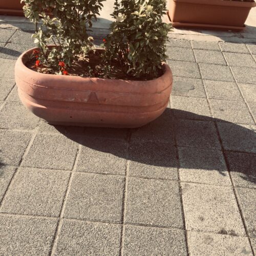 Quaraí Beton Saksı