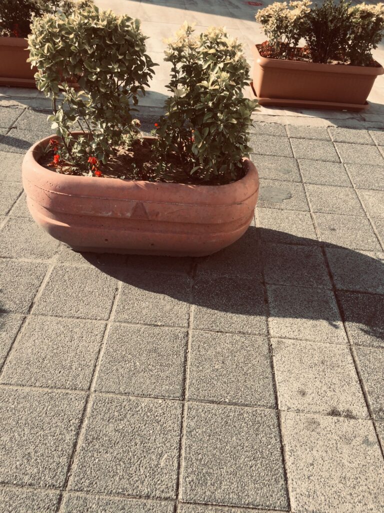 Quaraí Beton Saksı ürün banner