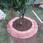 60x60 Büyük Yuvarlak Ağaç Dibi Bordür Taşı