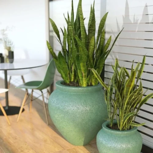 Özel Tasarım Dekoratif Büyük Beton Peyzaj Saksısı - 50x50cm