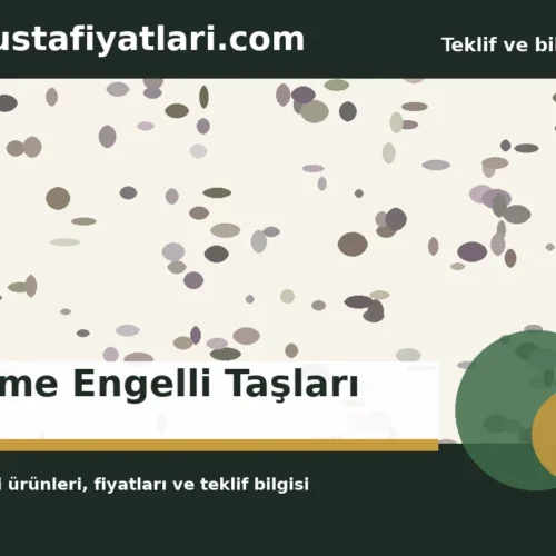 Görme Engelli Taşları