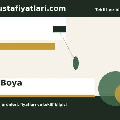 Toz Boya