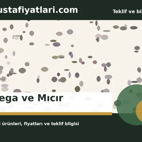 Agrega ve Mıcır
