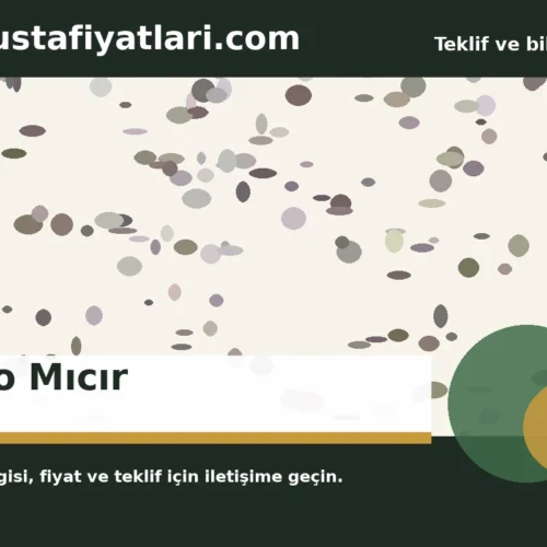 2 No Mıcır - Harpuşta Fiyatları