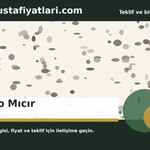 1 No Mıcır - Harpuşta Fiyatları